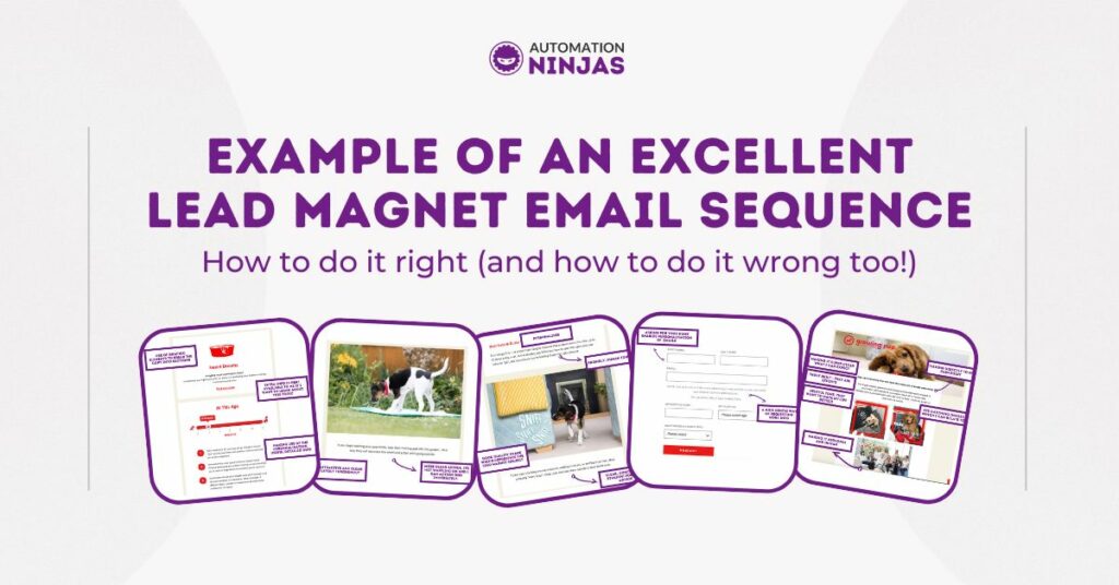 Example of an Excellent Lead Magnet email sequence