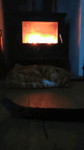 Salem by the fire
