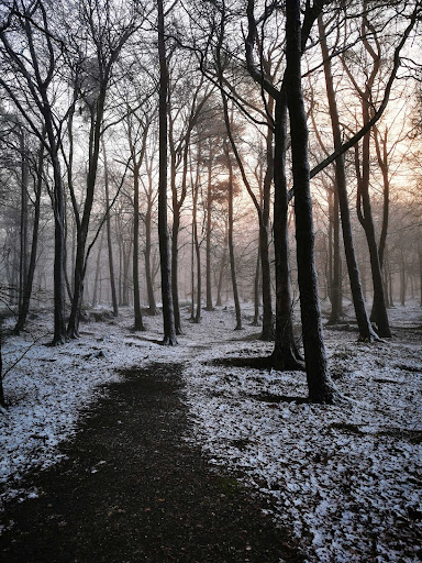 wintery